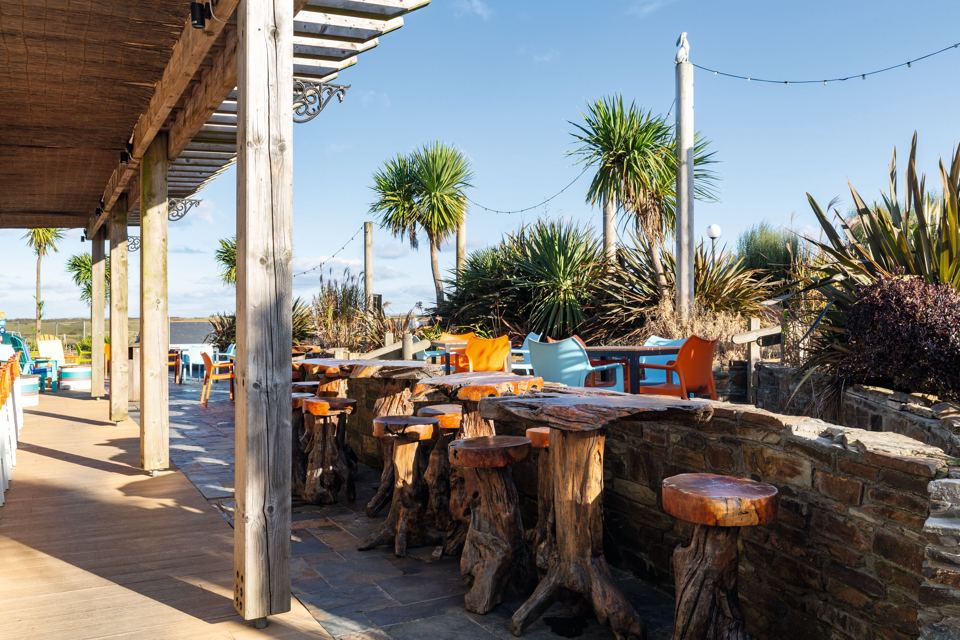 Outdoor terrace with palm trees