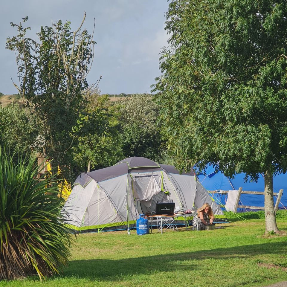 Tent pitched under the trees