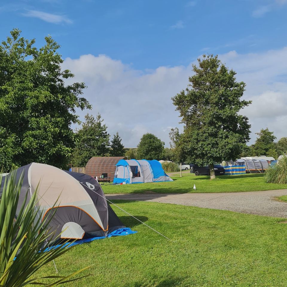 Tents beside the trees