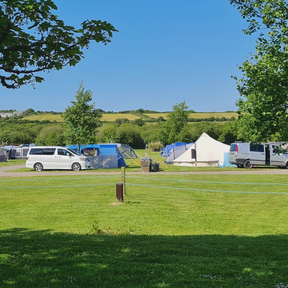 Tents and vans in the field