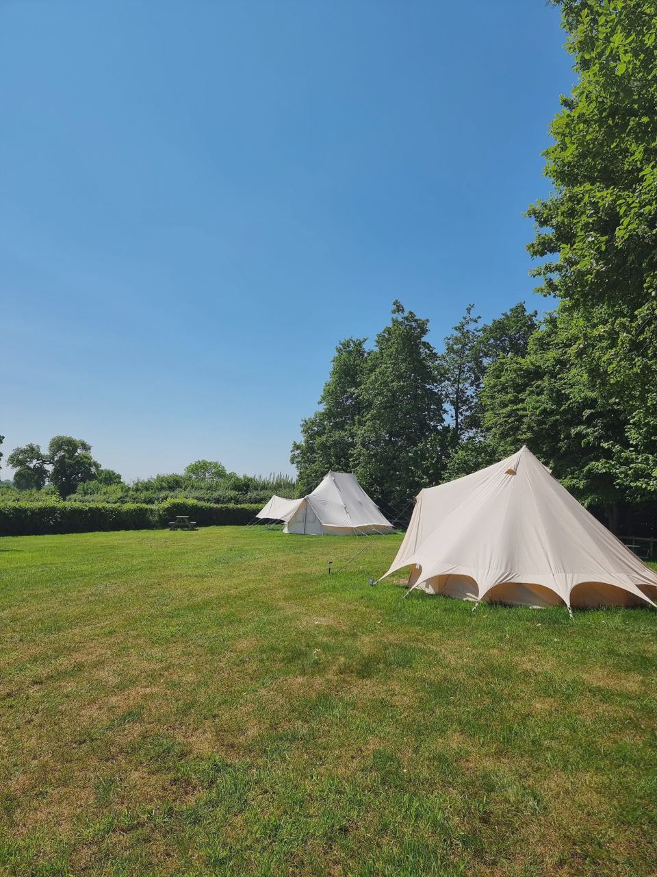 Bell tents on the lawn