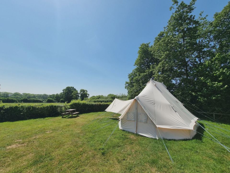 Bell tent by the hedge