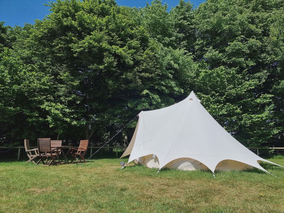 Bell tent under the trees