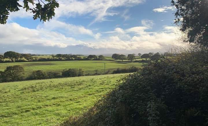 Fields and hedges from the farm