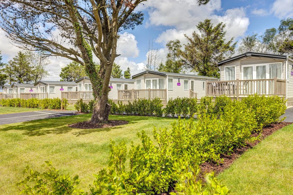 Caravans by a hedge