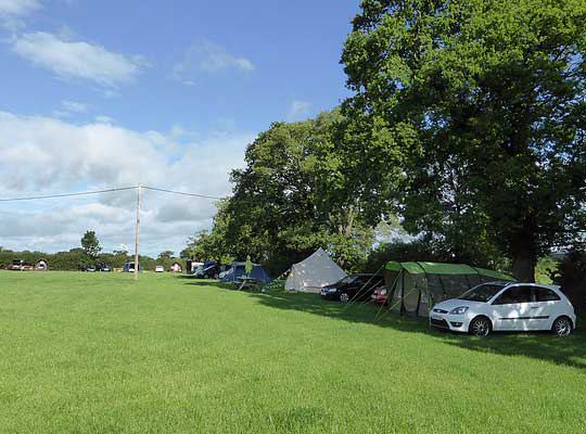 Tents under the trees