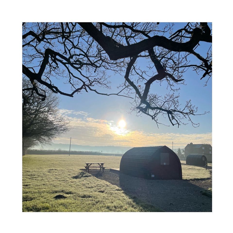 Pod in a frosty field