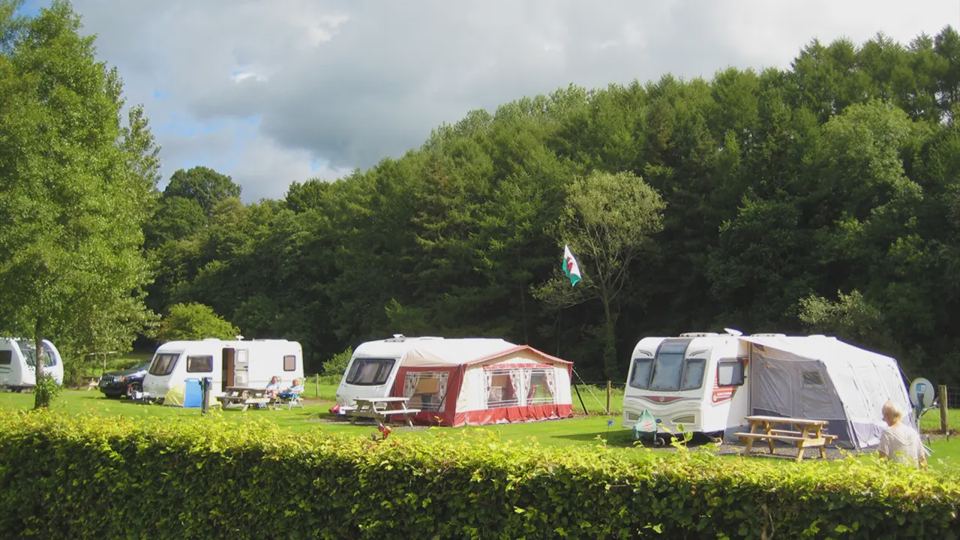 Caravans on pitches behind a hedge