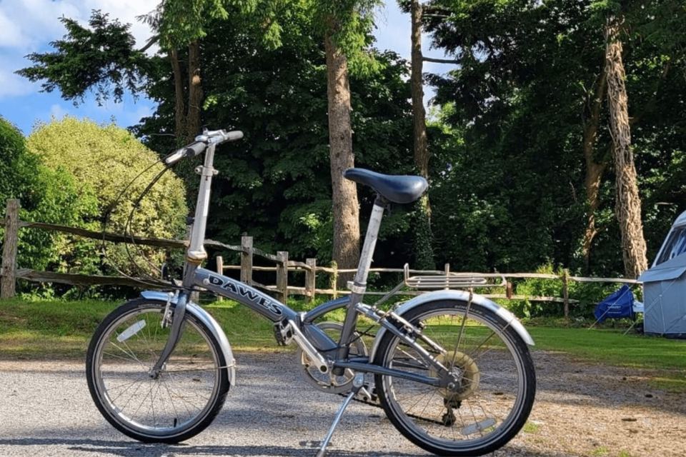 Folding bike by the trees