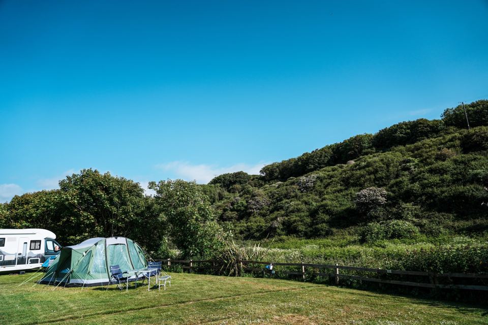 Tent pitch beside the hedge