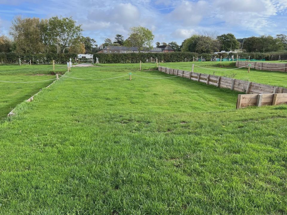 Grass pitches beside the hedge