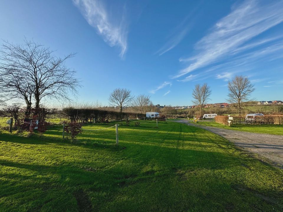 Field with trees beyond
