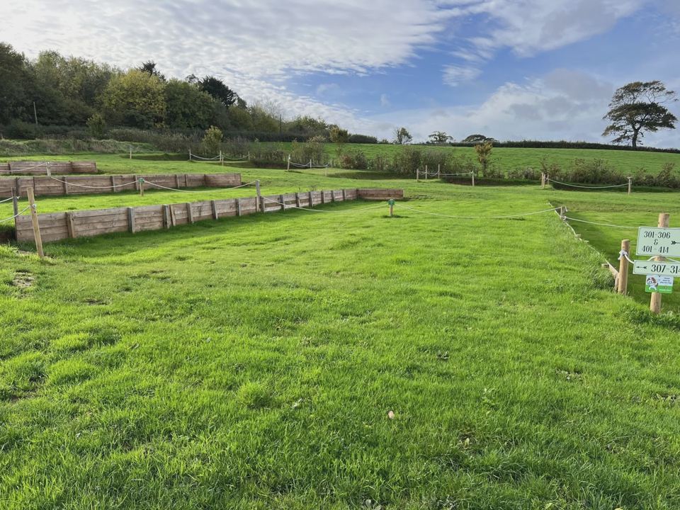 Grass pitches with fencing