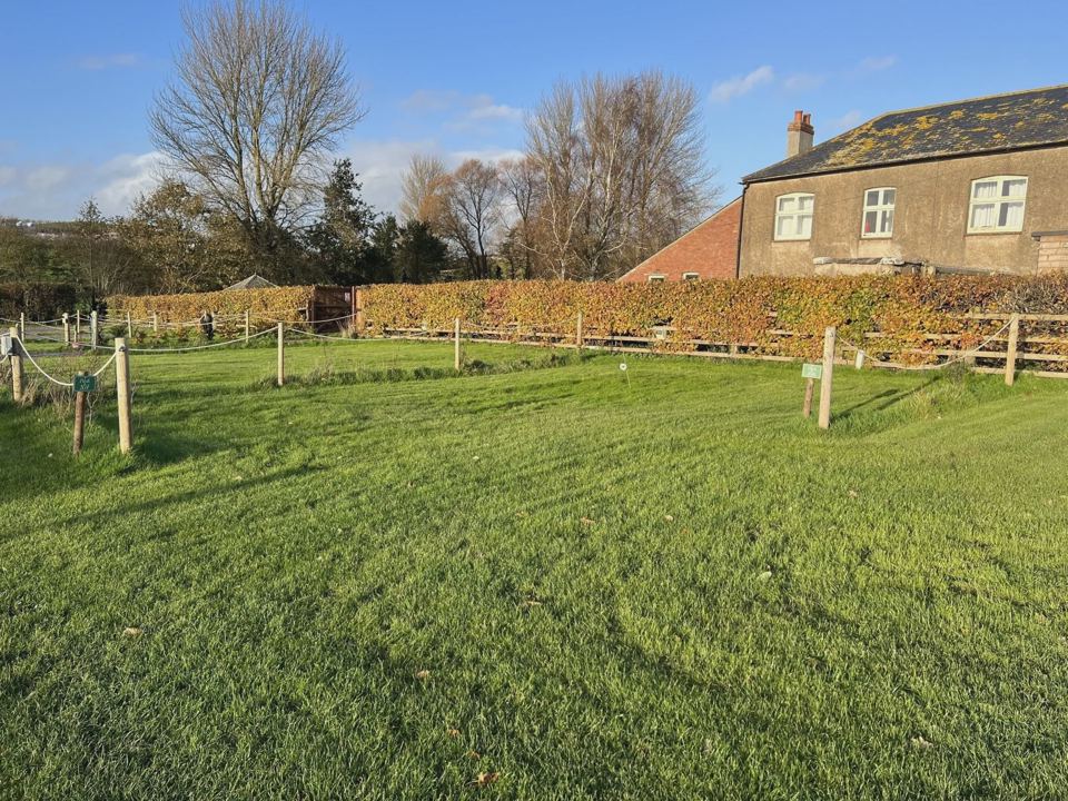 Farmhouse above the grass pitches