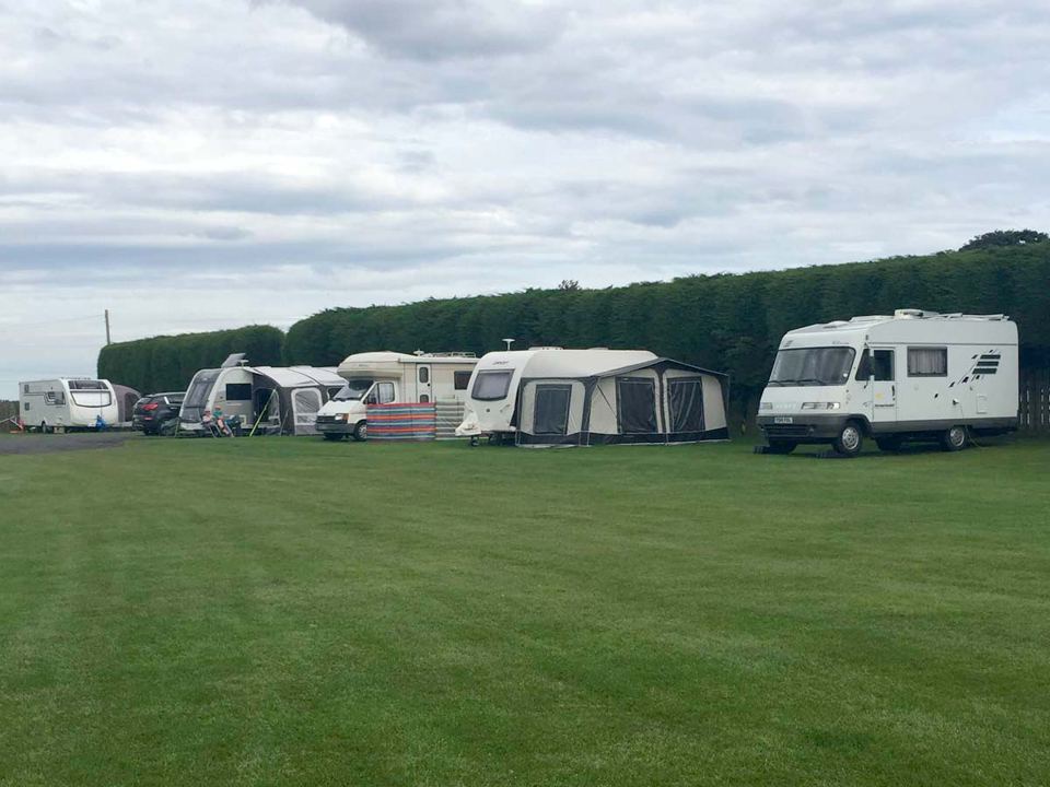 Caravans and motorhomes on the grass