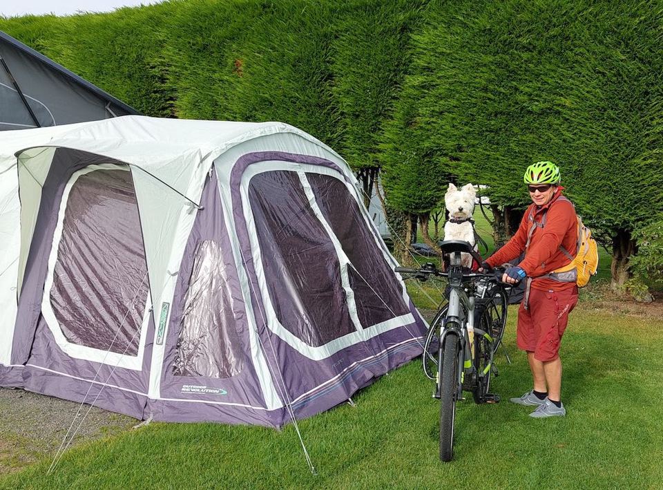 Tent and dog on the grass