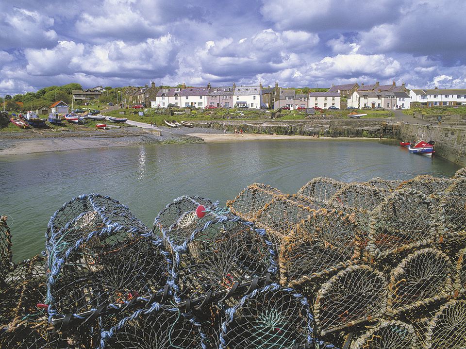 Craster harbour