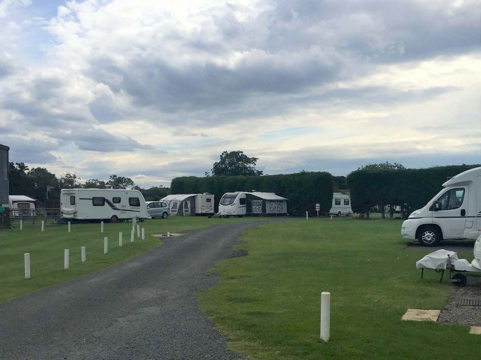Site road and pitches