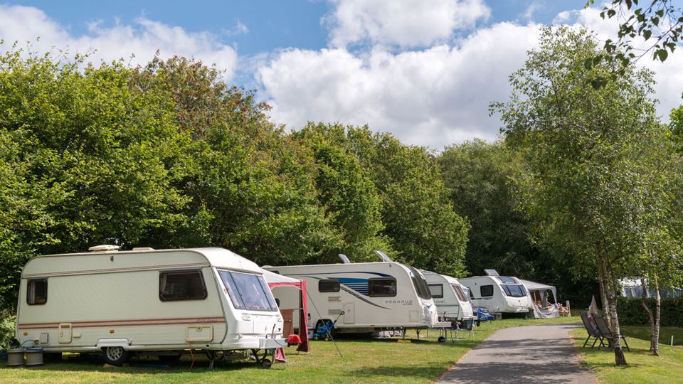 Caravans on the pitches under trees