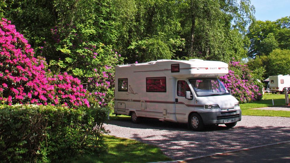 Motorhome among the rhododendrons