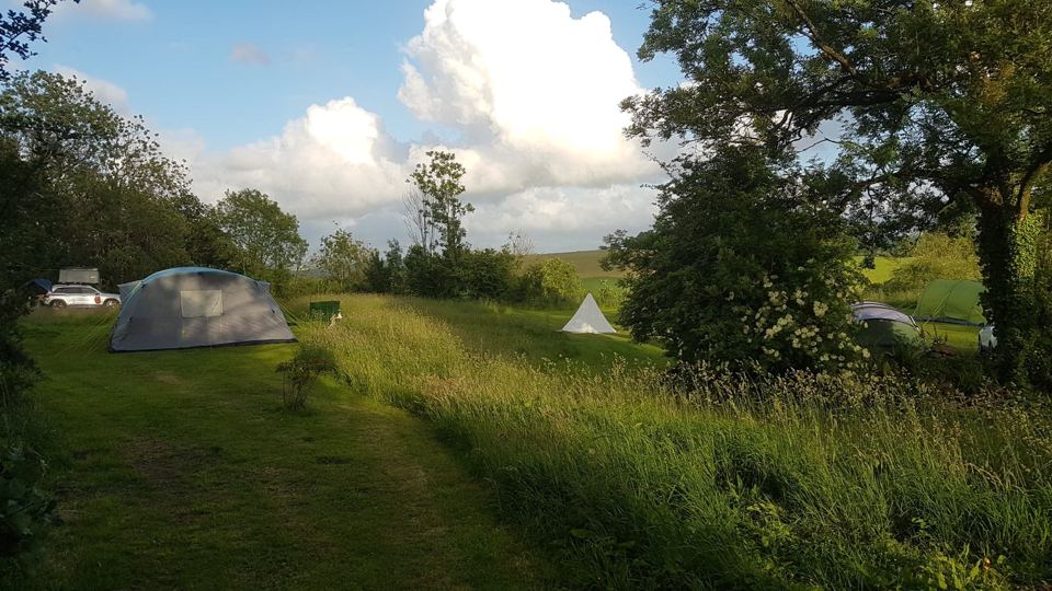 Tents in the meadow