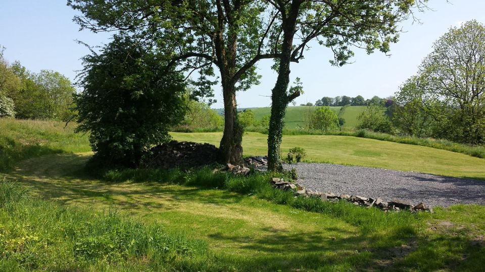 Gravel pitch beside a tree