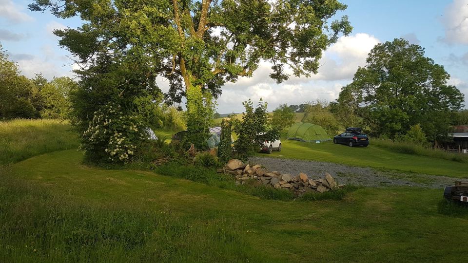Meadow pitches under the trees