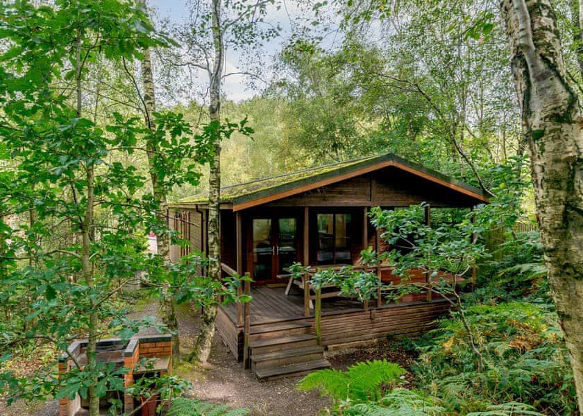 Log cabin in the trees