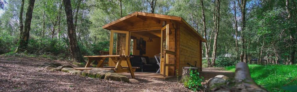 Pod in the woods
