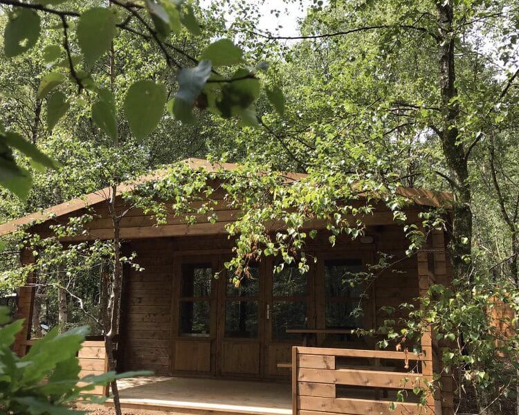 Log cabin in the woods