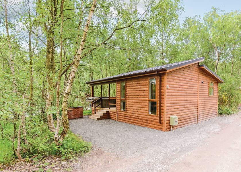 Lodge among birch trees