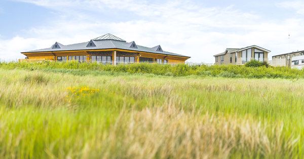 Cafe bar above the shore grass