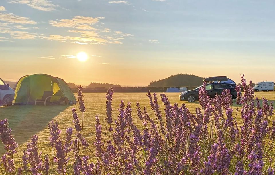 Tent in the field at sunset