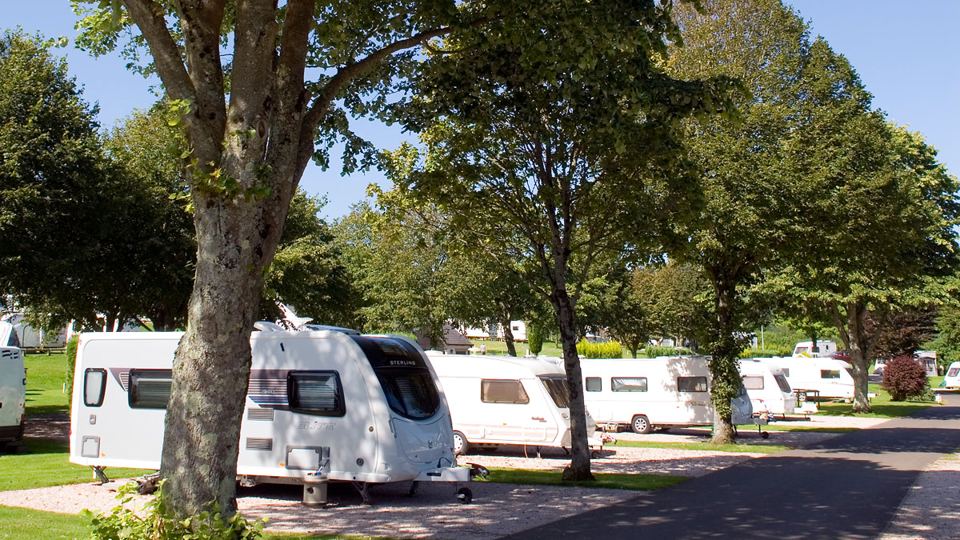 Caravans on the pitches under trees