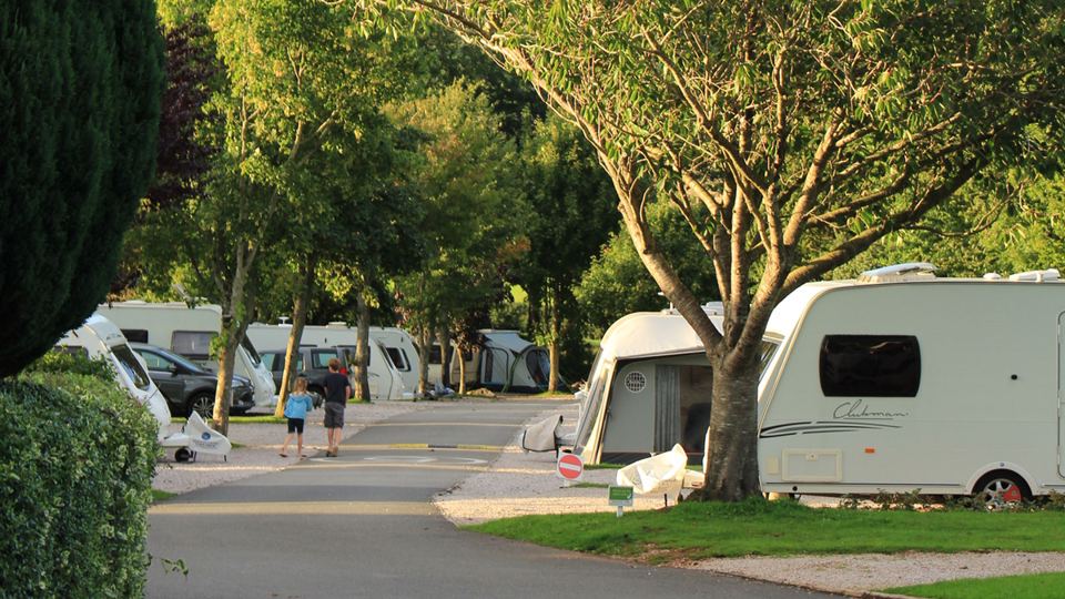 Caravans on the pitches beside the trees