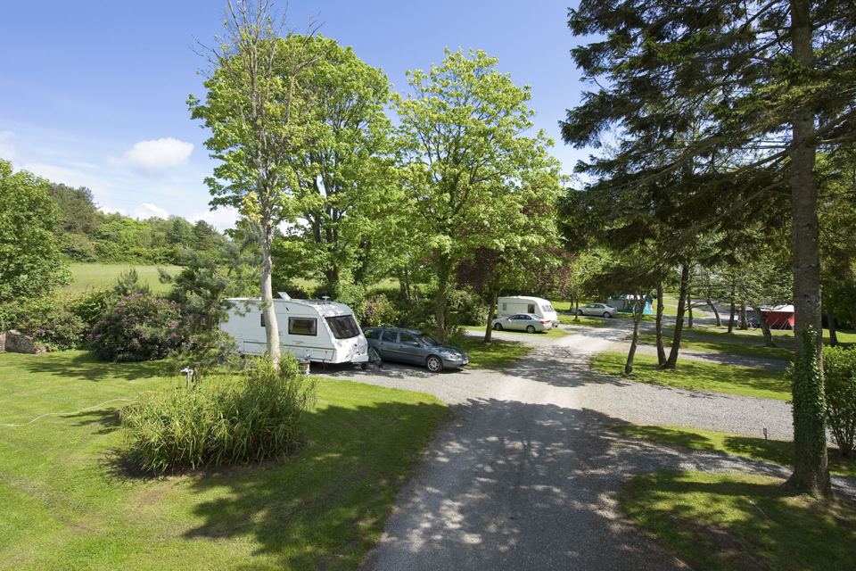 Caravans on the gravel under trees