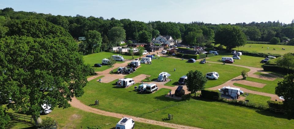 Camping fields among the trees