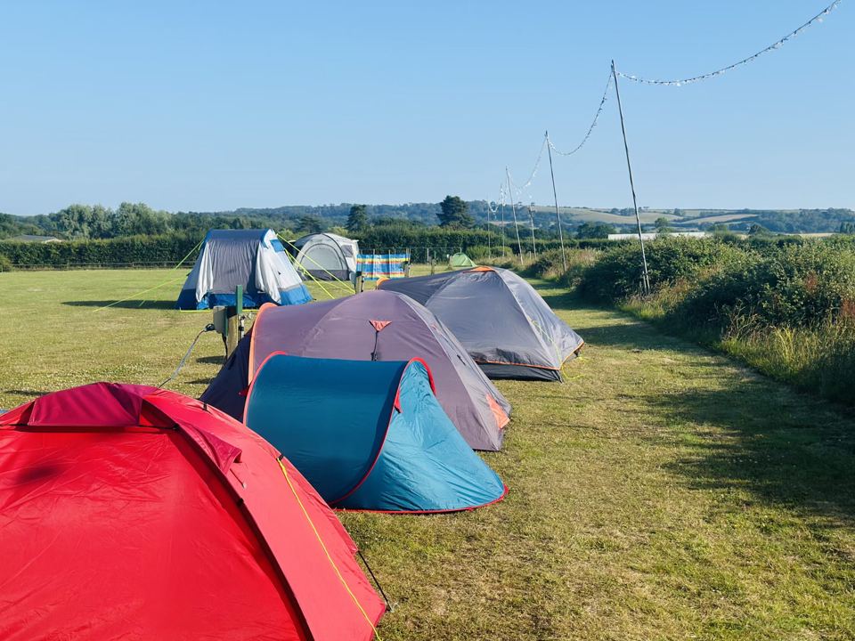 Tents along the hedge
