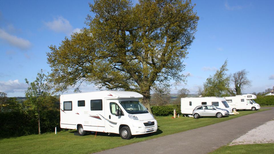 Motorhomes under an oak