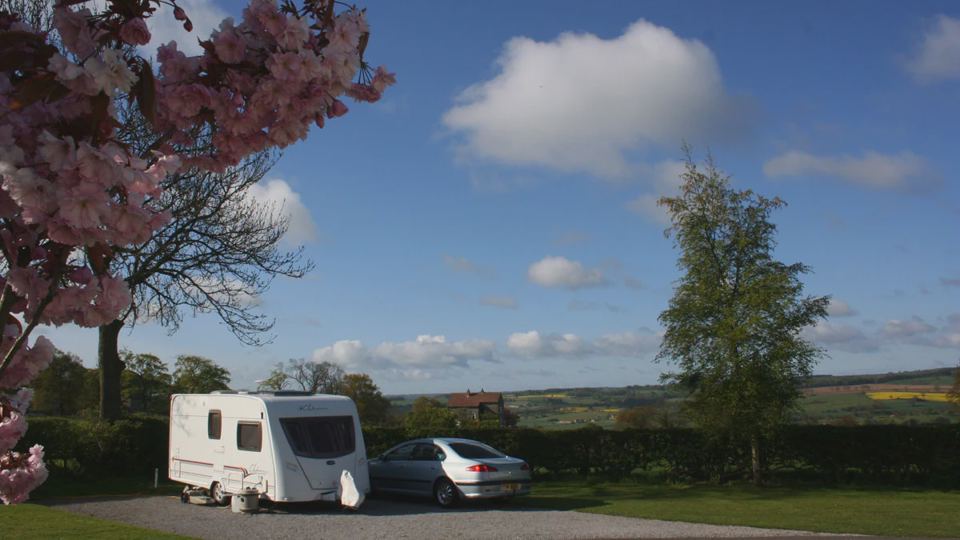 Pitch beside blossom and hedge