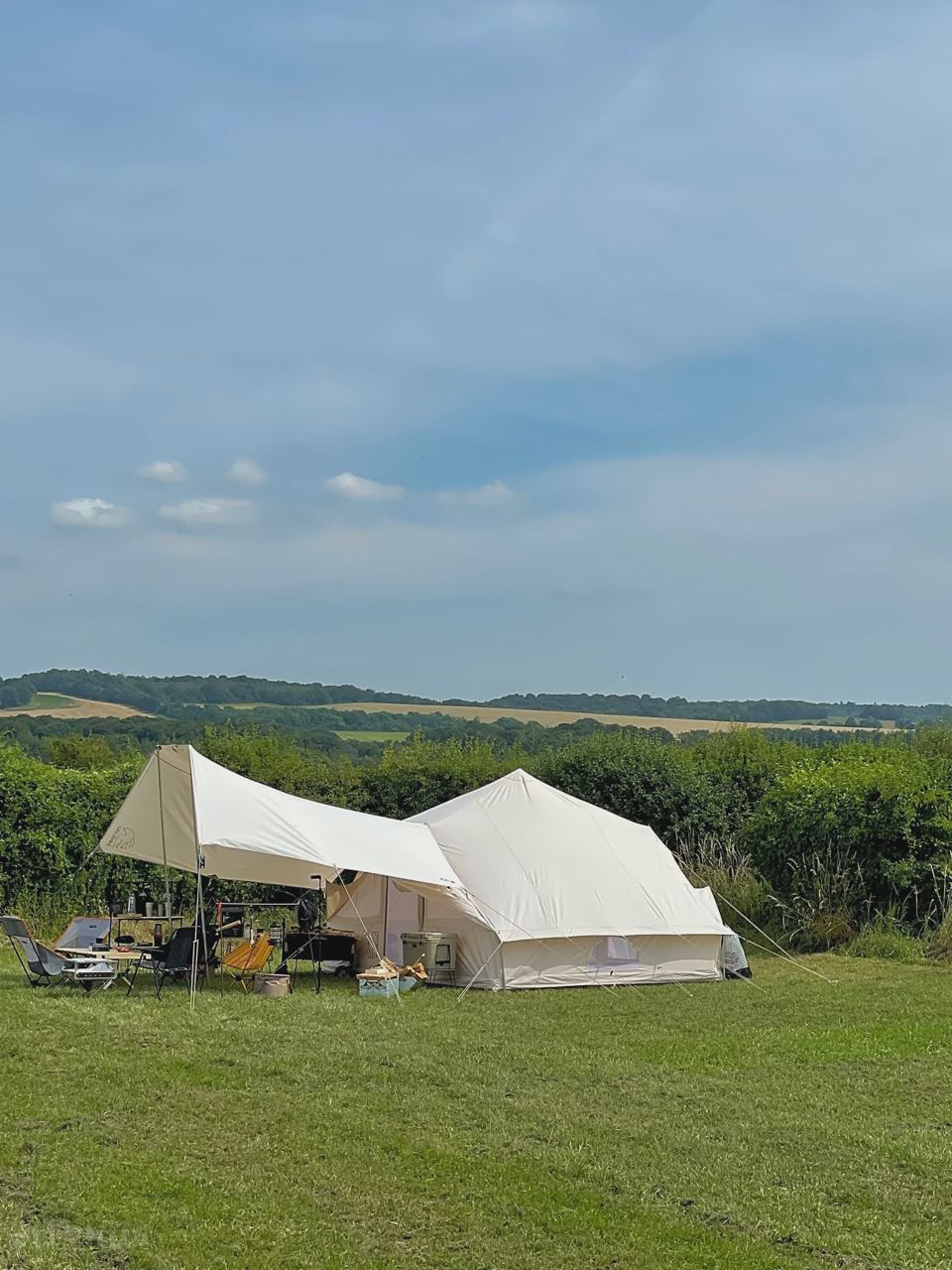 Bell tents beside a hedge