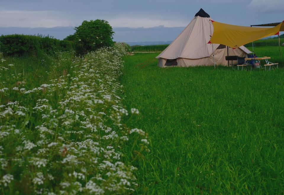 Bell tent in the grass