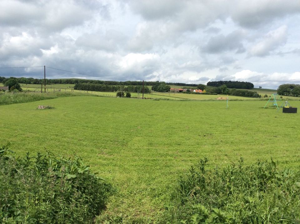 Open grass camping field