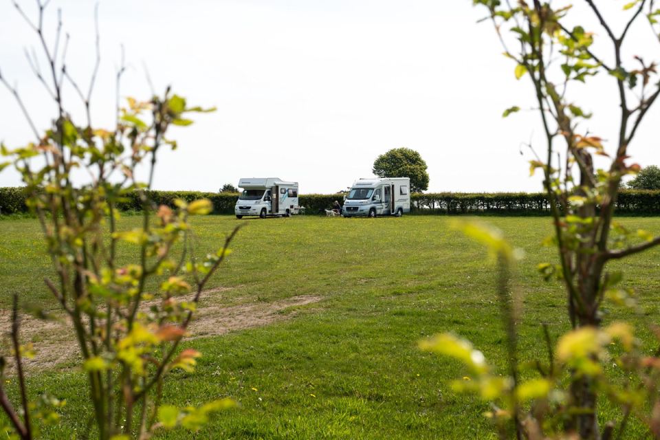 Motorhomes on grass beyond hedge