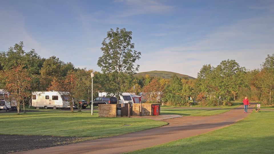 Pitches among trees