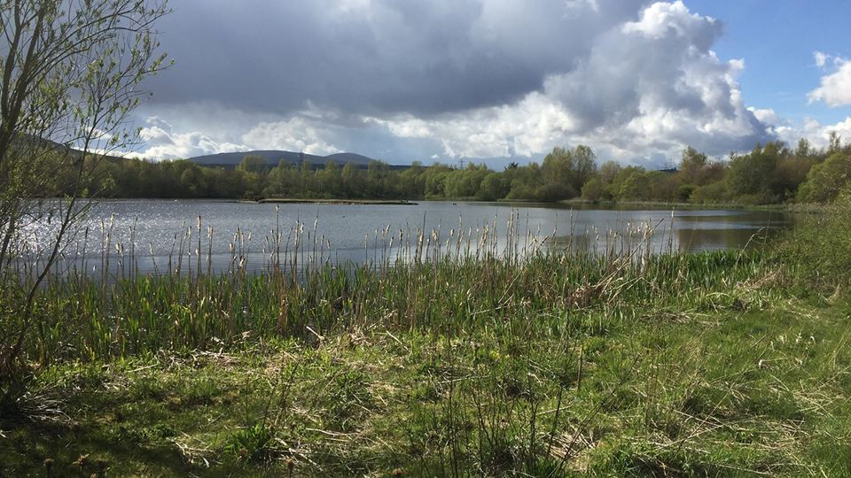 Lake near the site