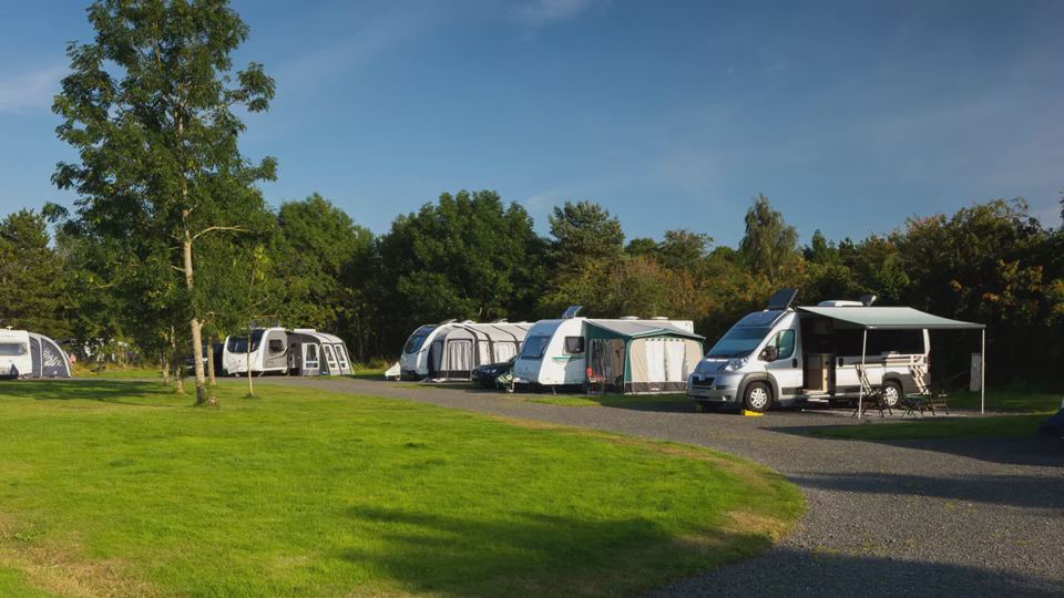 Hardstanding pitches beside grass