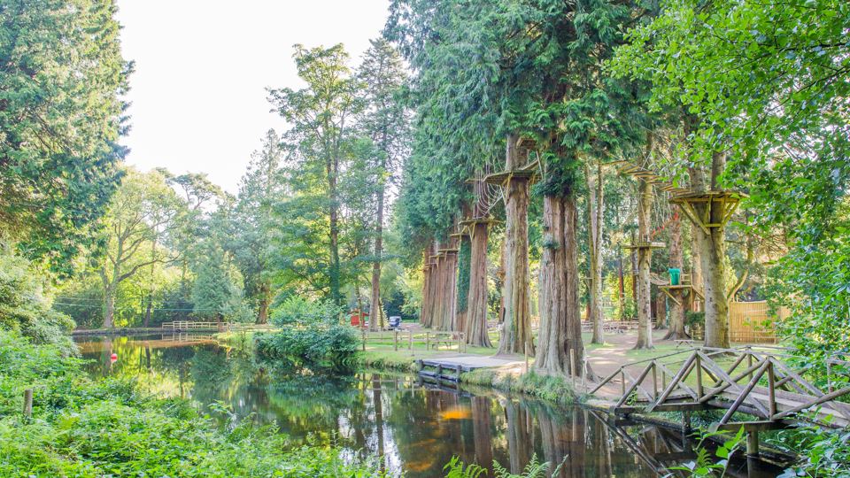 Walkway through the trees by the pond