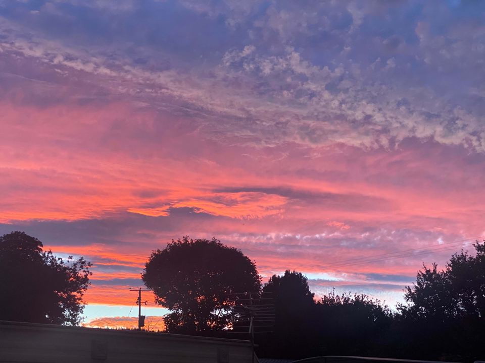 Sunset over the park