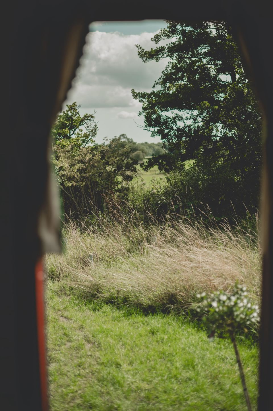 Meadow seen through a doorway